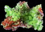 Pyromorphite Crystal Cluster - China #63677-2